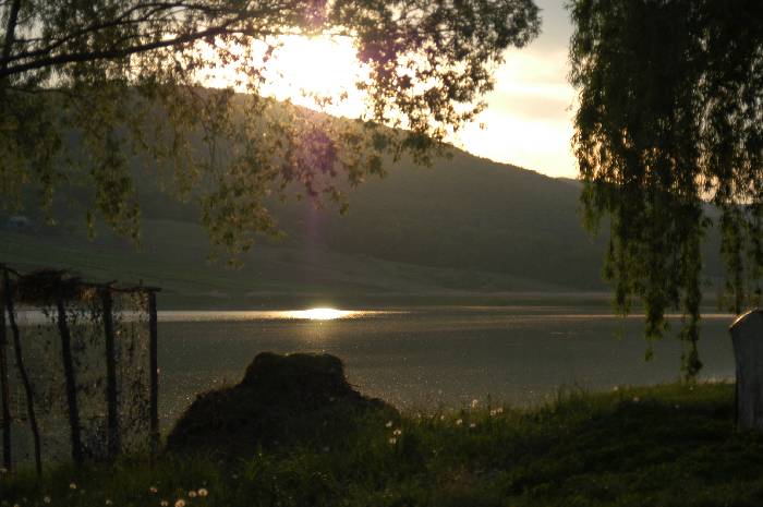 Balta Crăiești (Roman)