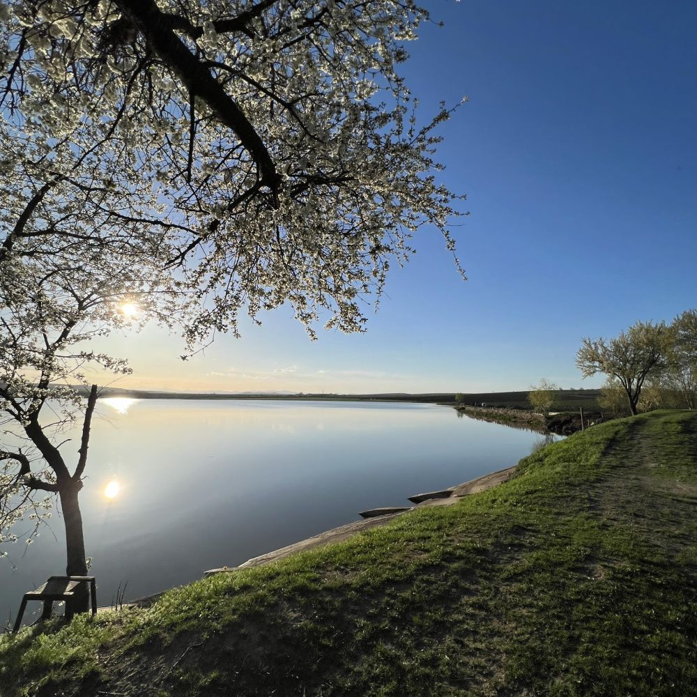 Iaz Budești (Iaz Mare / Iaz Mic)