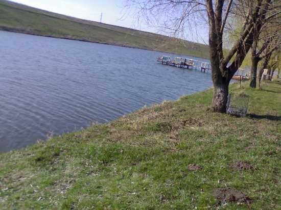 Balta Milotina 2