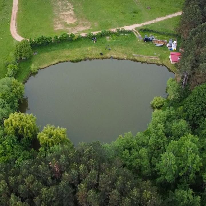 Baltă Pescuit Poiana Sibiului
