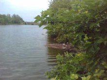 Balta Ileana (Răzoare)