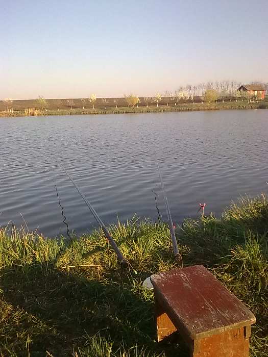 Balta Valea Bisericii 1 (La Purice)