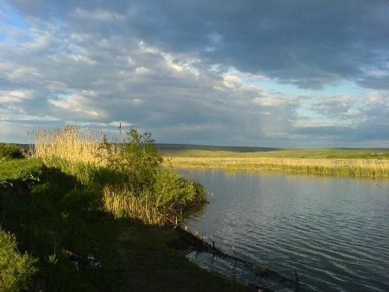 Balta Mata Rădeanu (Vădeni)