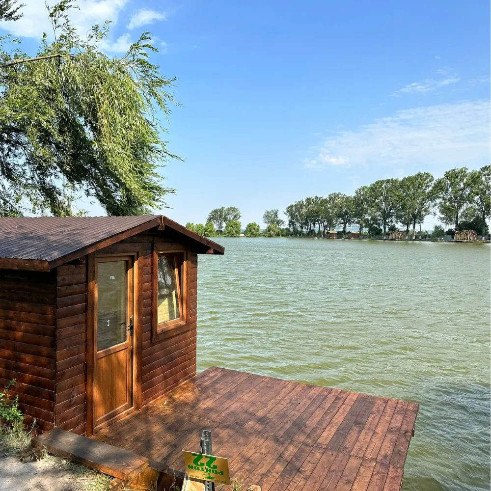 Balta Pleașa (Lacul III - C&R)