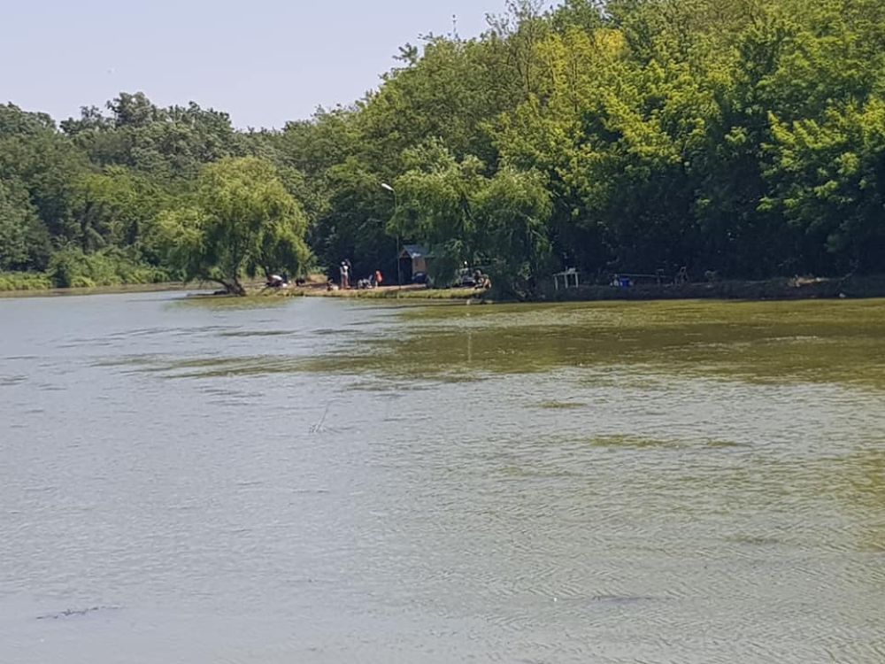 Balta Țapu Malu (Ion Roată)