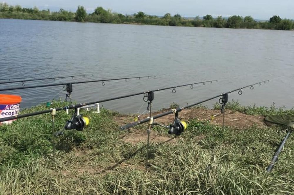 Balta Valea Războiului - Fulga