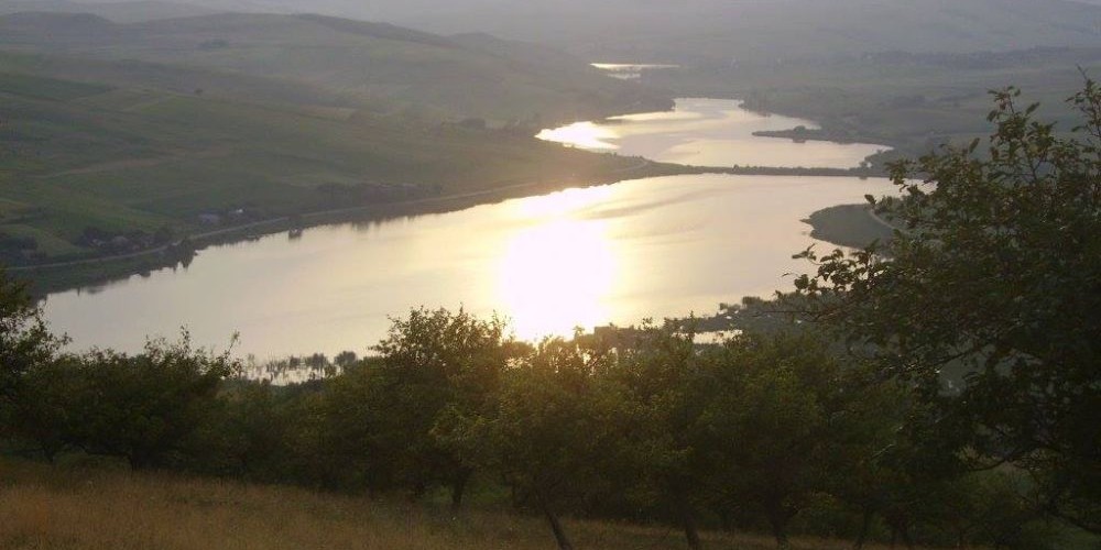 Balta Cătina