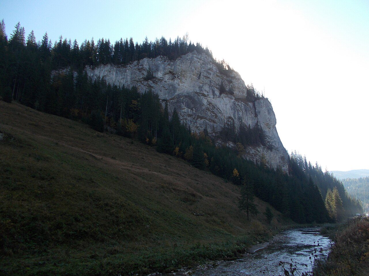 Valea Țibăului