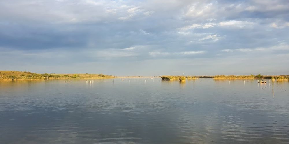 Balta Boldești Grădiștea