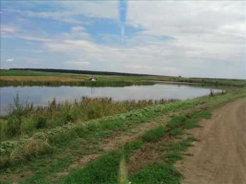 Balta Blejești