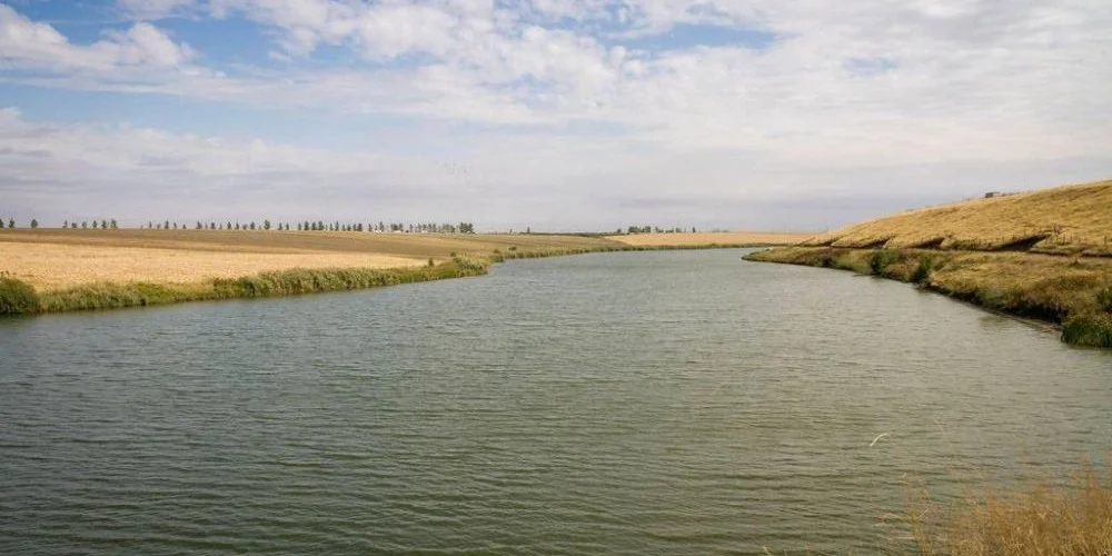 Lacul Polcești 5 (Sărulești-Gară)