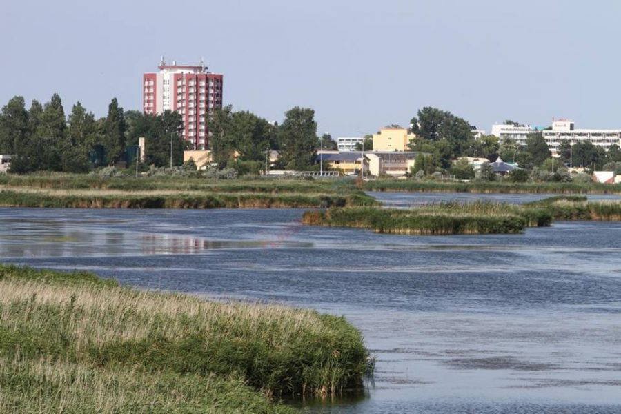 Mlaștina Hergheliei (Balta Mangalia)