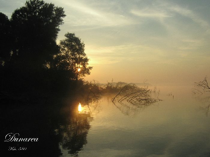 Dunăre - Vidroiu (Insula Cioroiului, Seaca)