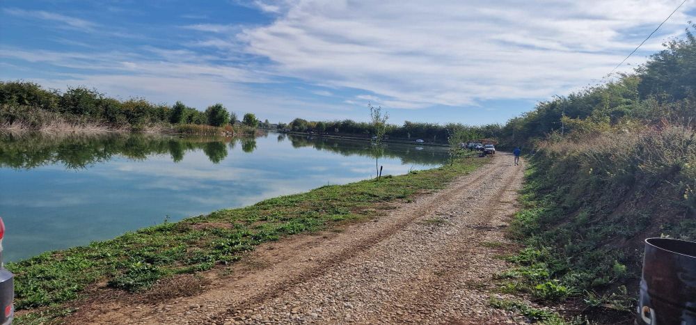 Balta Șindrilița 2 Silver Pond (Găneasa)