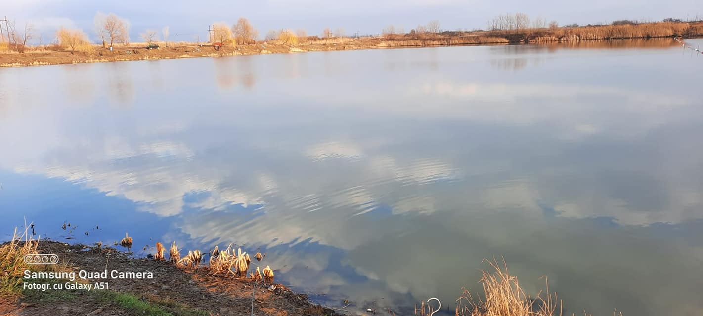 Balta Mică Căteasca