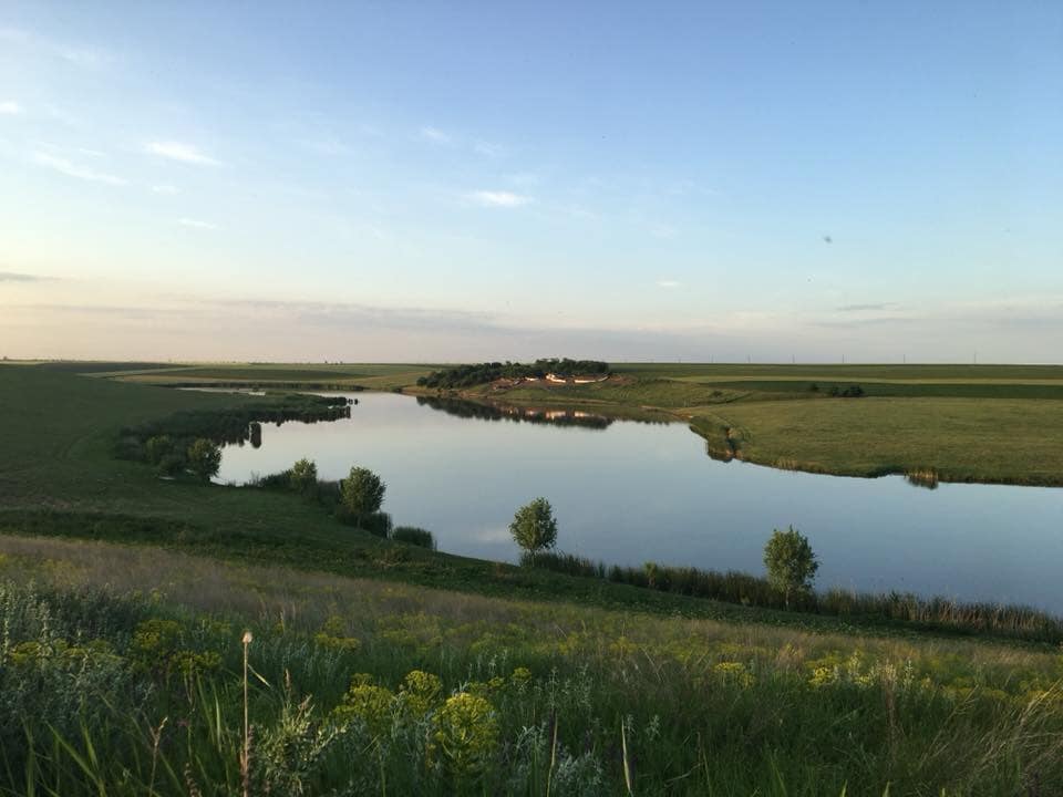 Balta Milotina 1 (Siliștea)