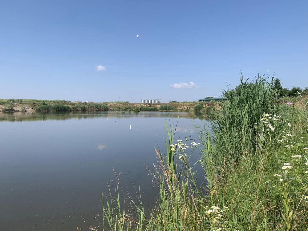 Balta Pesca D'Oro