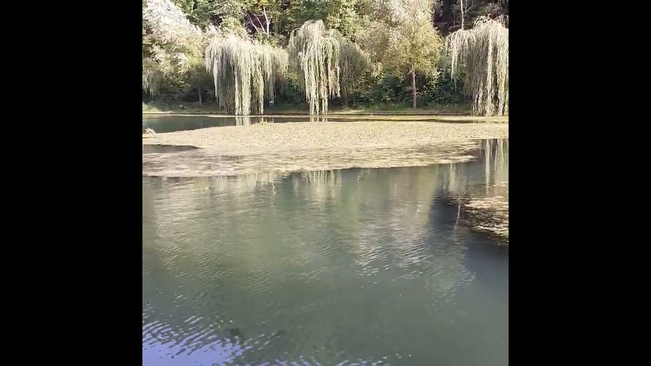Lacul Curiacul