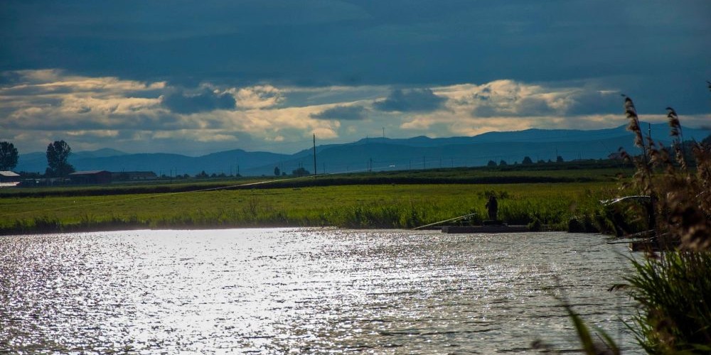 Balta Lateș (Lacul Lateș)