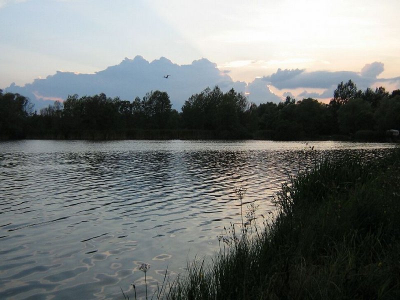 Balta Tășnad