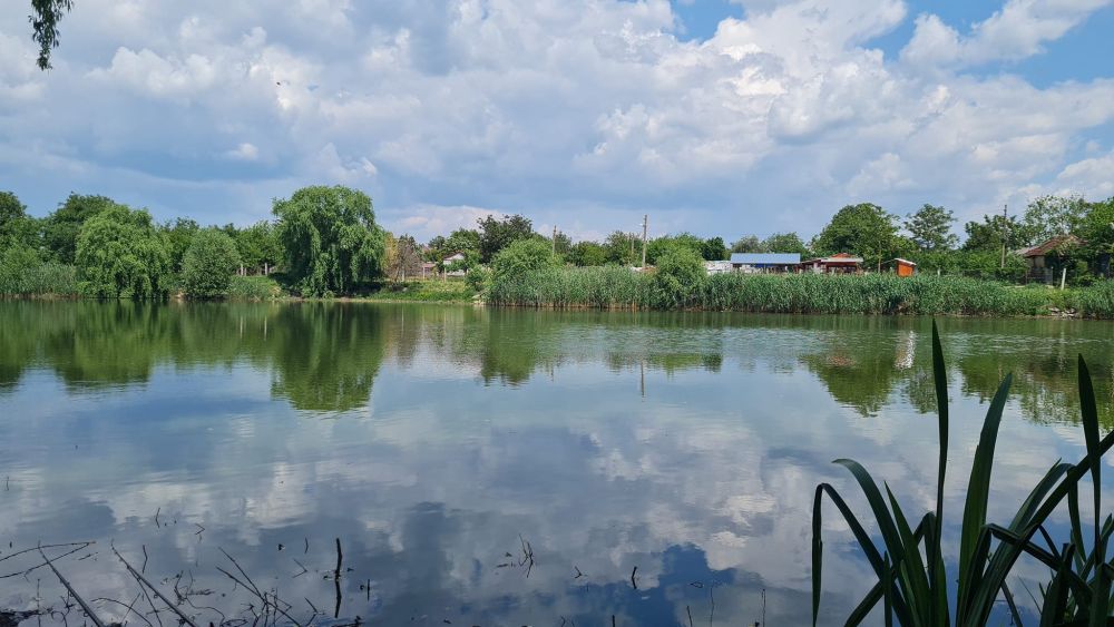 Balta Valea Bujorului