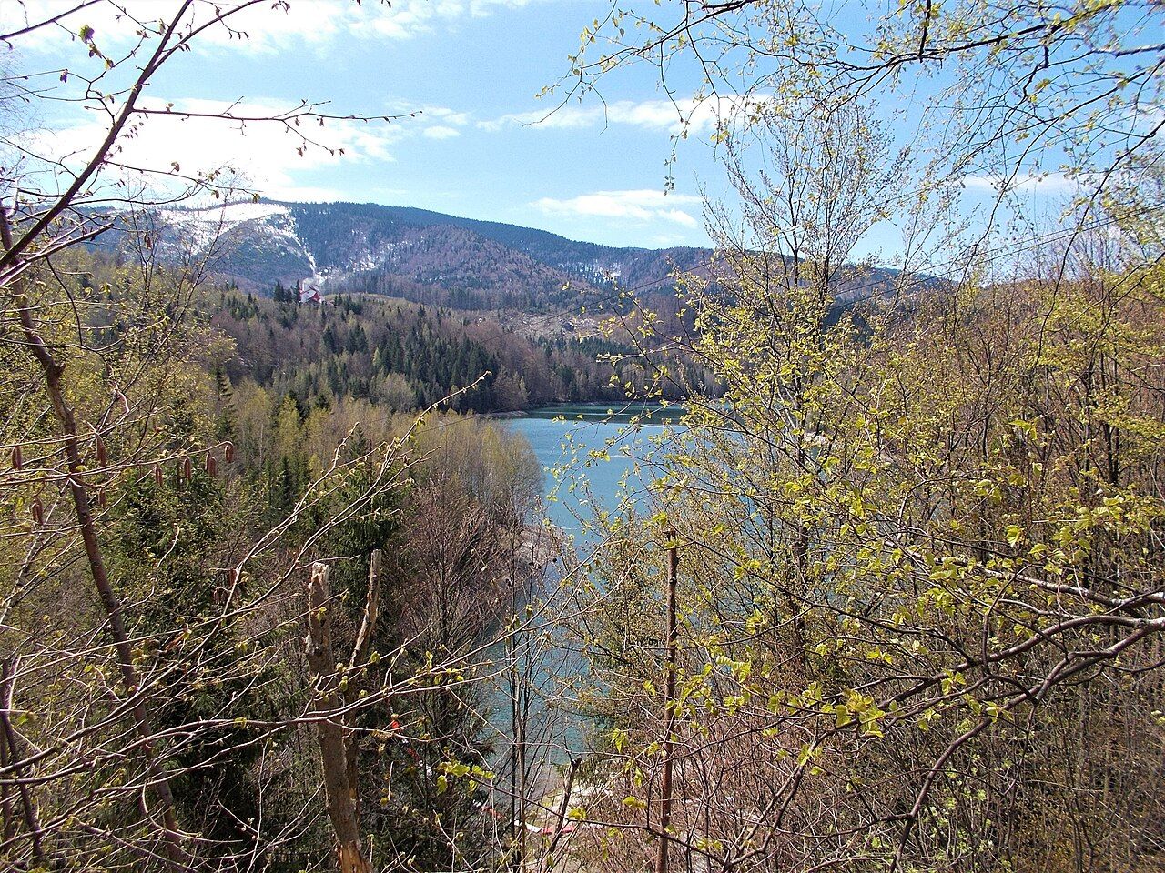 Lacul Valea de Pești