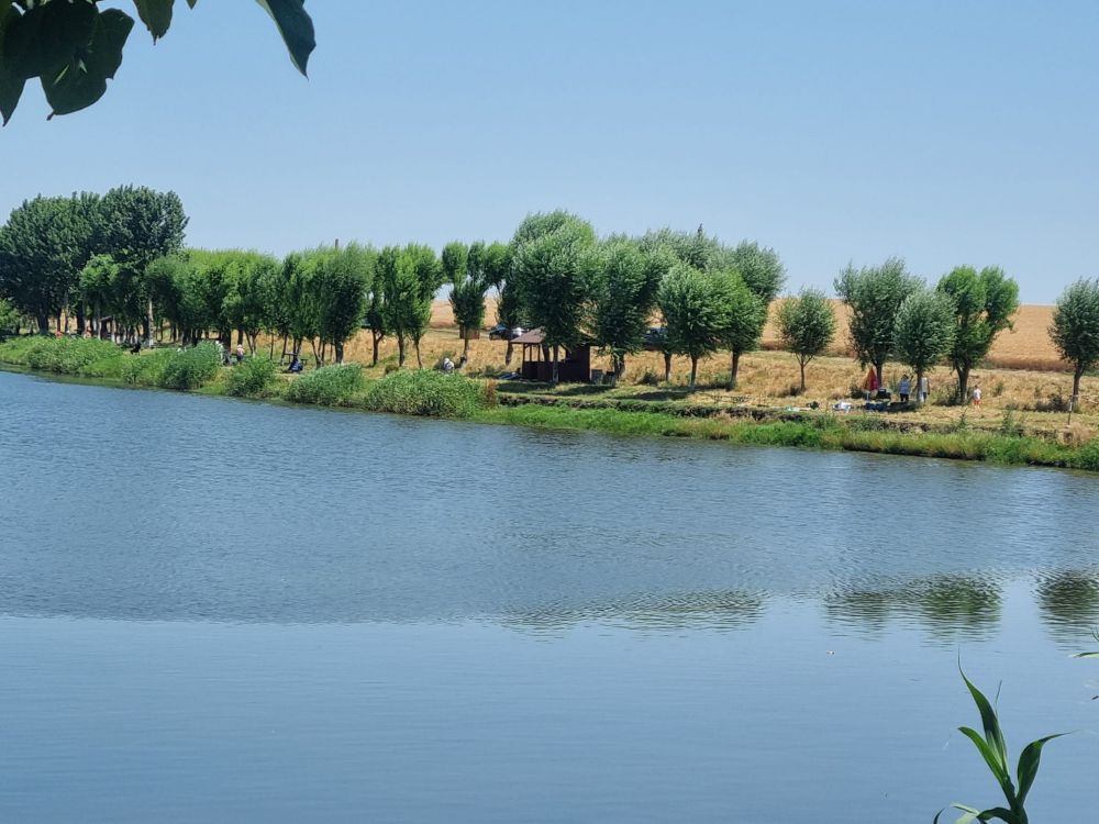Balta Călăreți Pepinieră