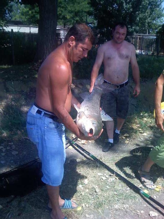 Balta Balastiera CFR (AJVPS Buzău)