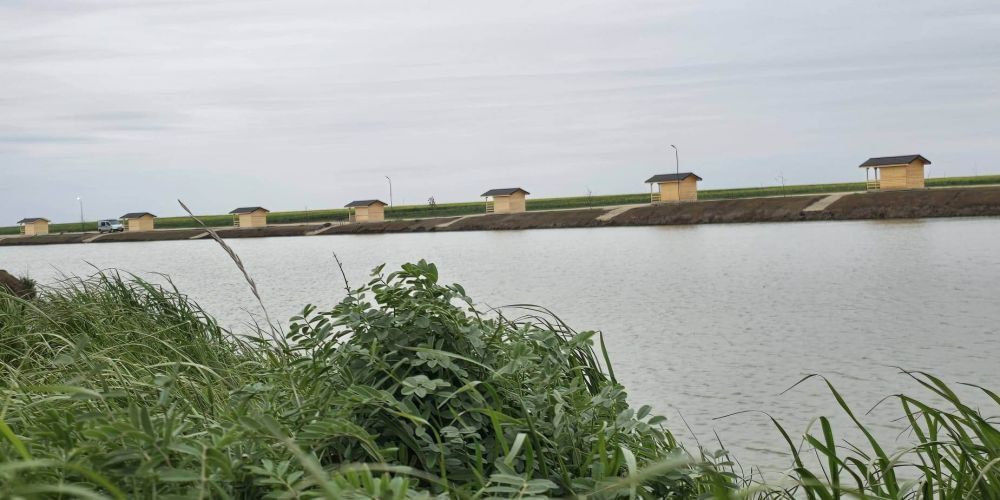 Cataly Lake