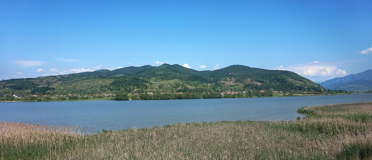 Acumularea Dăești cu bălțile adiacente