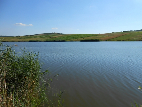 Lacul Toldal