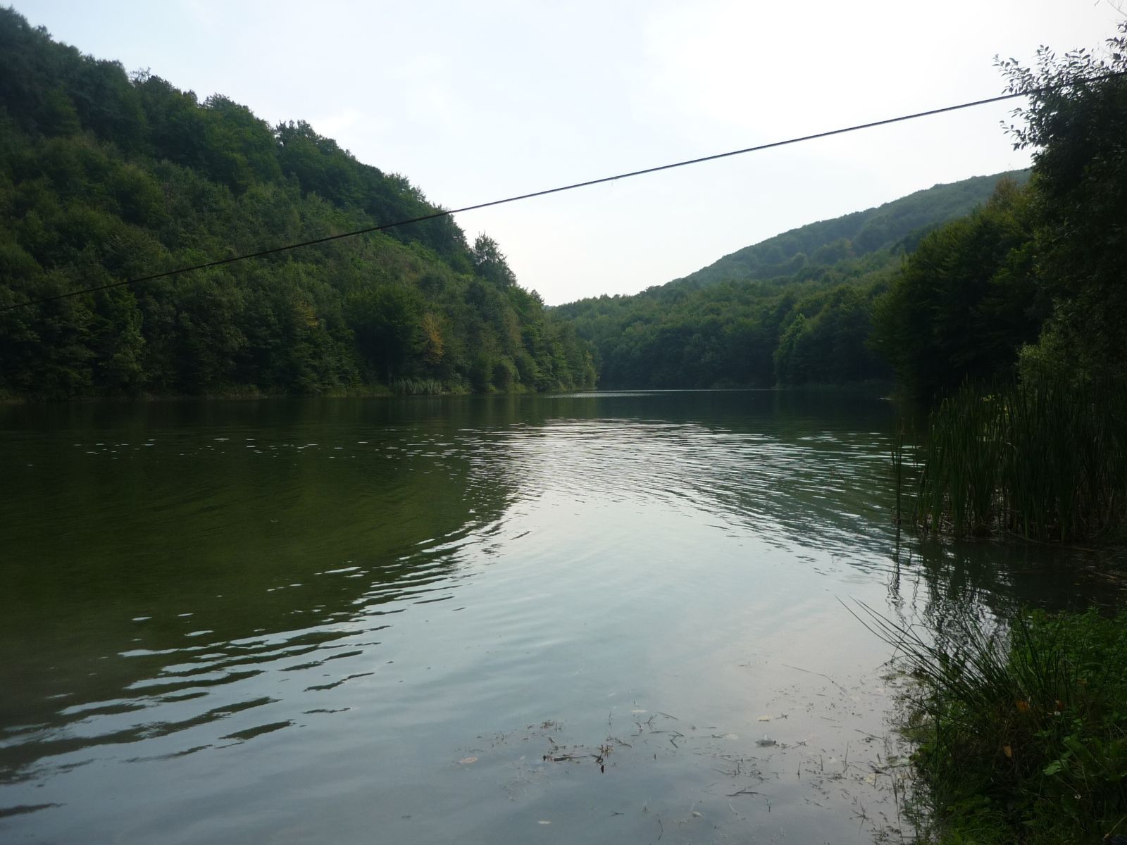 Lacul Cozia