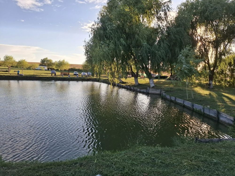 Pescaria Ortisoara