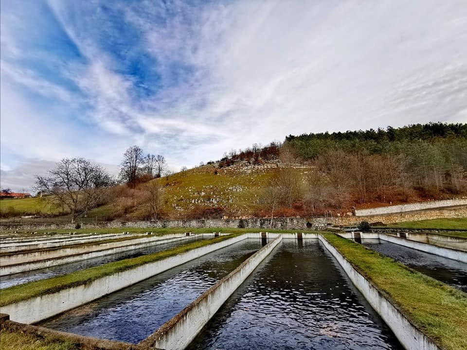 Păstrăvăria Măgești