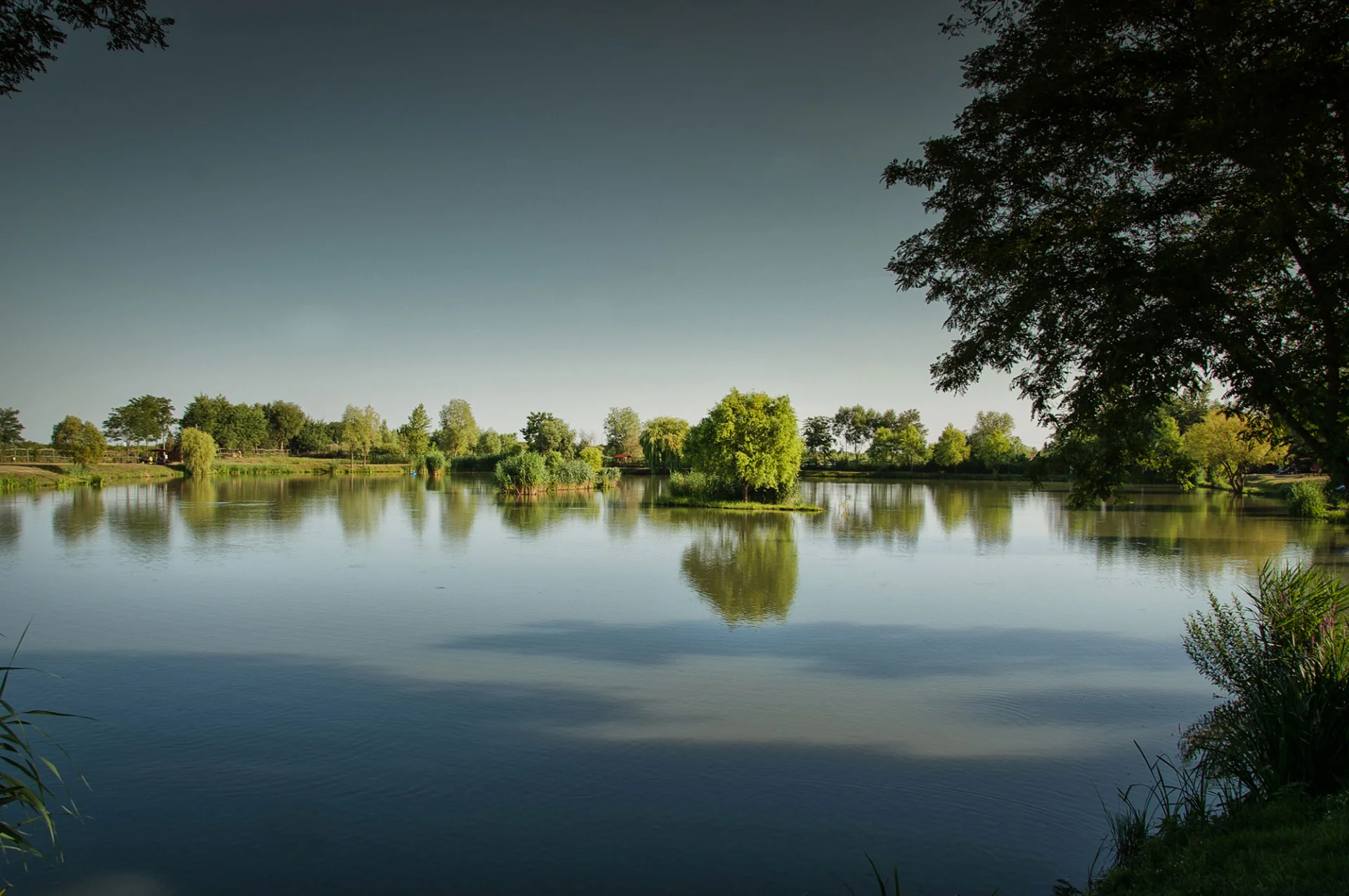 Balta Lacul de pescuit Turulung