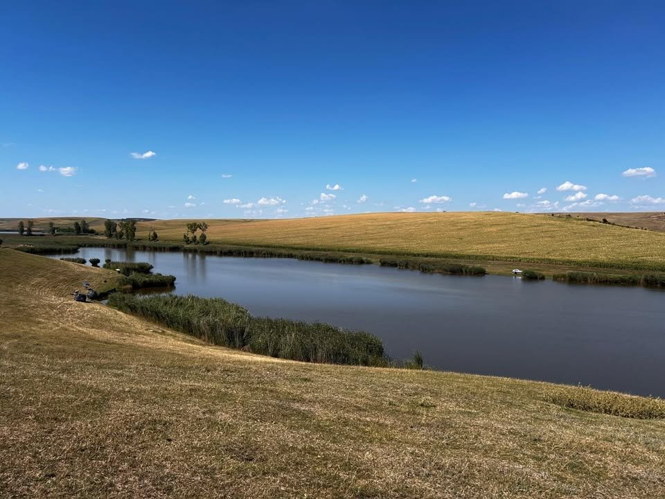 Balta Heleșteu (Traian, Bivolari)