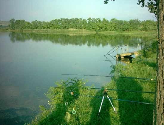 Lacul Șăulia (Șăulia-Vancea)