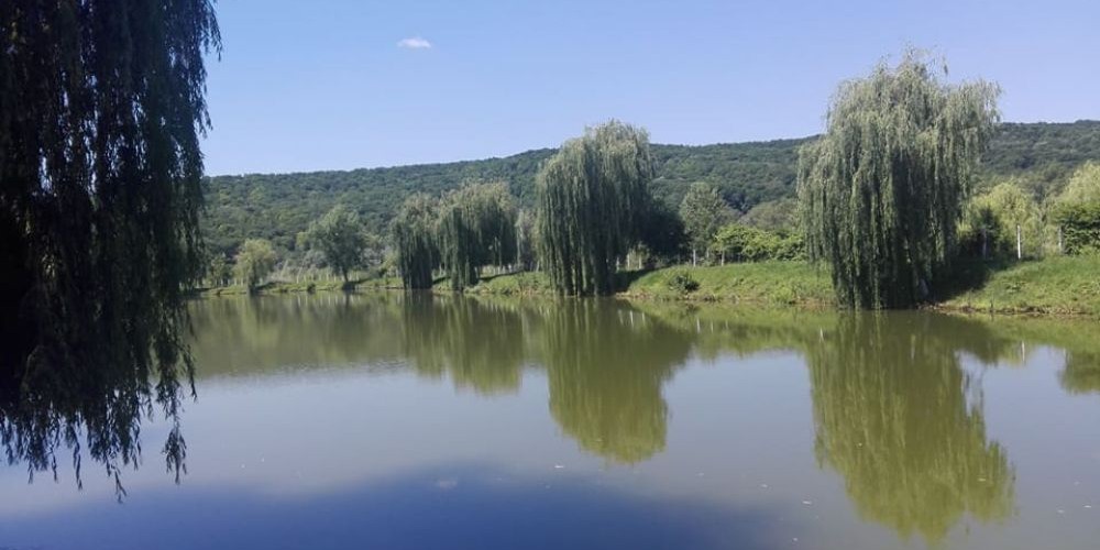 Lacul Lipănești
