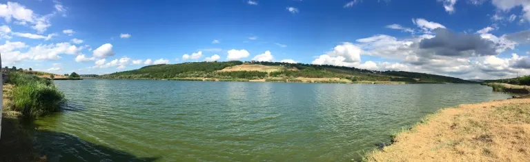 Aroneanu