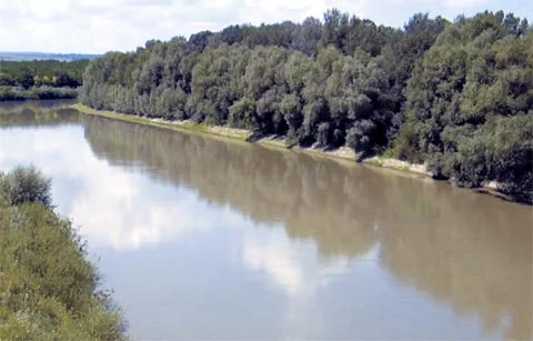 Prut - Vaslui/Fălciu