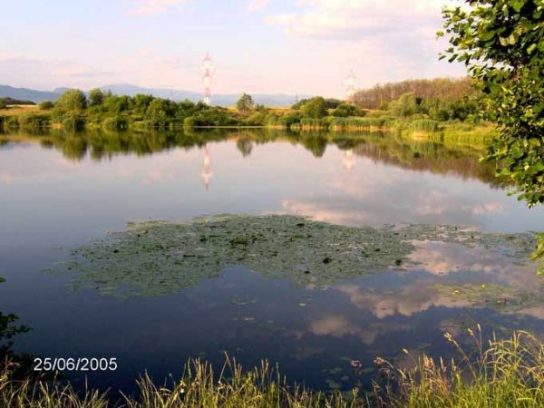 Balta 2 Veverițe (Lăpușel)