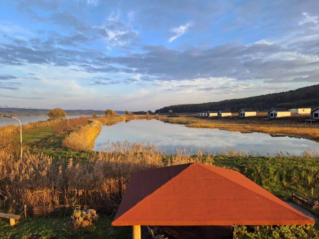 Balta Drăcșani-Sulița