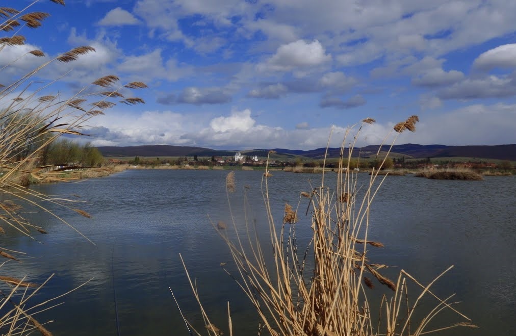 New Carp Lake (Balta cu Movile)