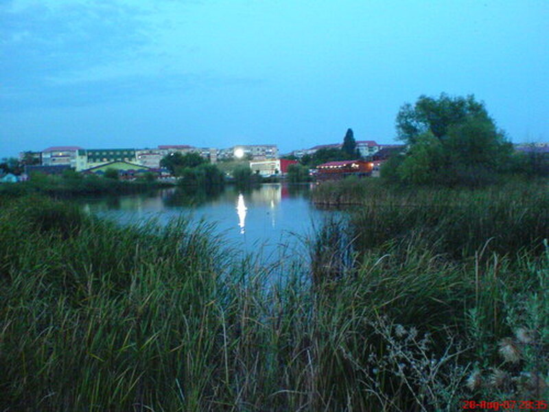Balta Balauru
