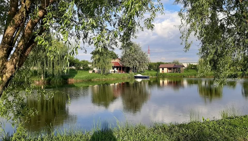 Balta de pe Variantă - Alba Iulia