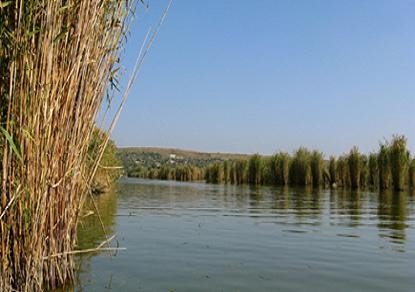 Pescuit Sportiv Dunăreni
