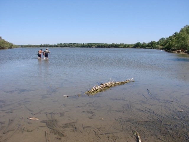 Balta Cotul Chiului (Stoicani)