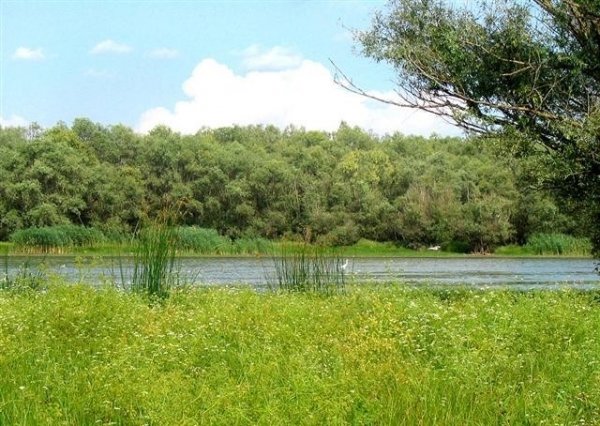 Lacul Pochina