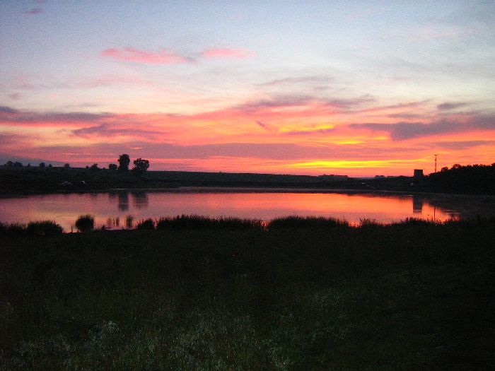 Balta Măgura 1 (Giurgiu)