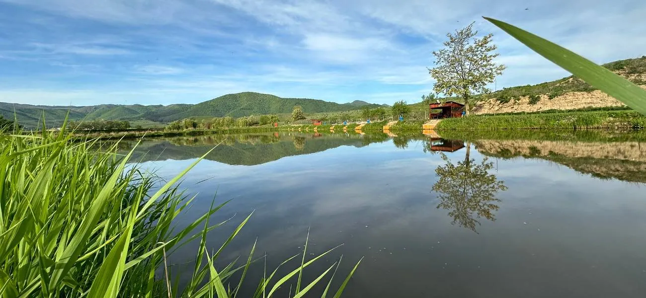 Evelin Lake